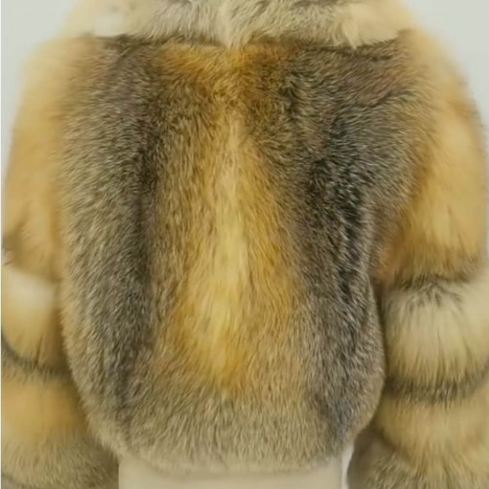 Cream Teddy Jacket with Plush Fur Collar and Voluminous Sleeves - Picture 2 of 8